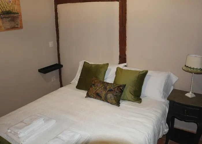 Coliseo - Living Apartment