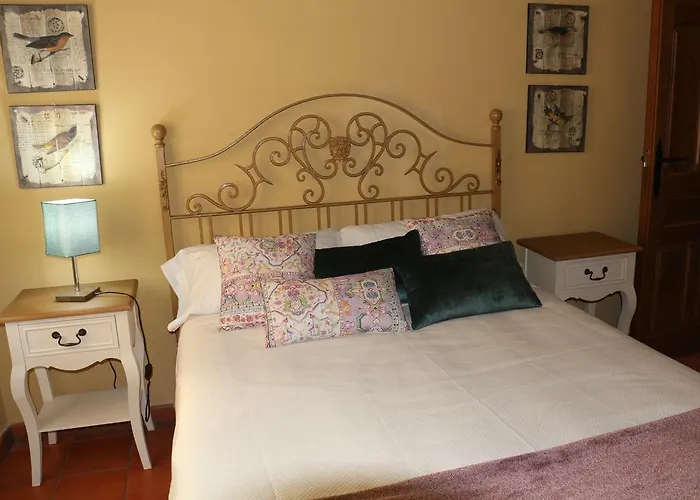 Coliseo - Living Toledo